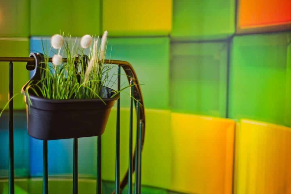 Nunohotel كولونيا المظهر الخارجي الصورة